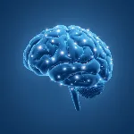 Stylized illustration of a brain with neural connections